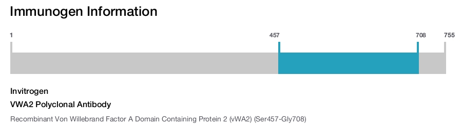 VWA2 Polyclonal Antibody