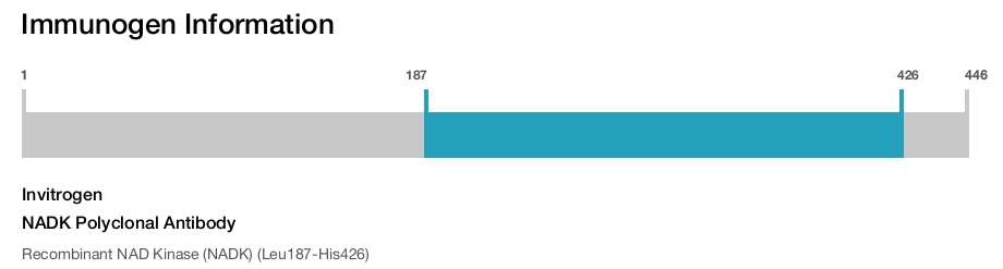 NADK Polyclonal Antibody