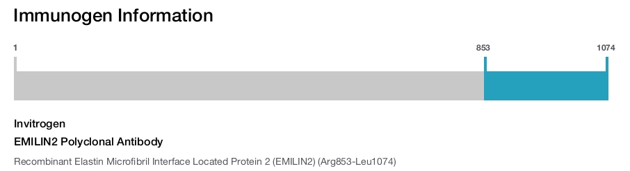 EMILIN2 Polyclonal Antibody