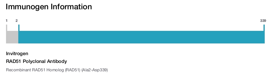 RAD51 Polyclonal Antibody