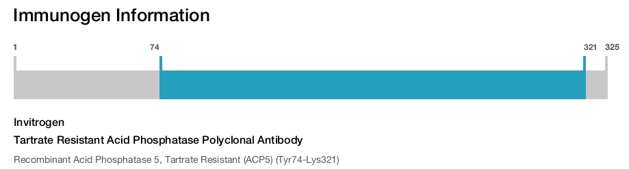 Tartrate Resistant Acid Phosphatase Polyclonal Antibody
