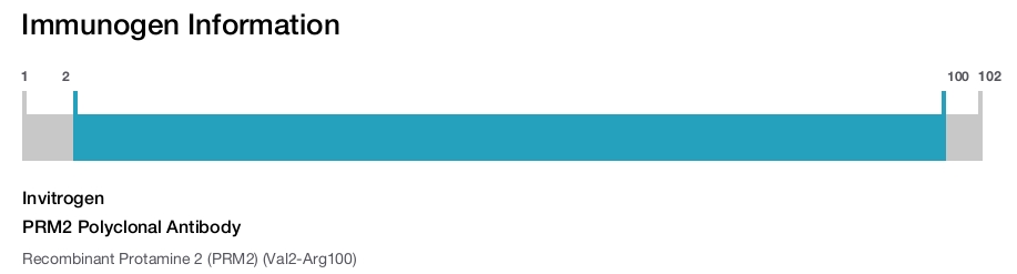 PRM2 Polyclonal Antibody