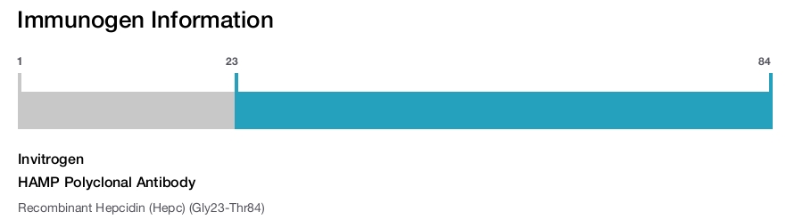 HAMP Polyclonal Antibody