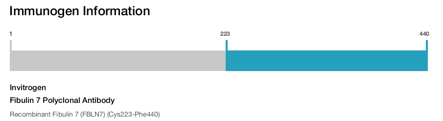 Fibulin 7 Polyclonal Antibody