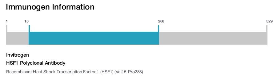HSF1 Polyclonal Antibody
