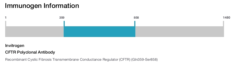 CFTR Polyclonal Antibody