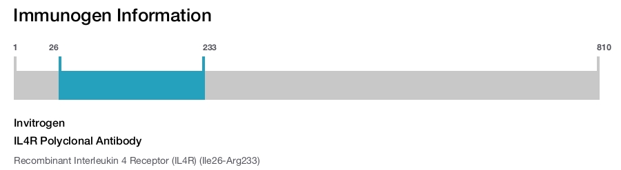 IL4R Polyclonal Antibody