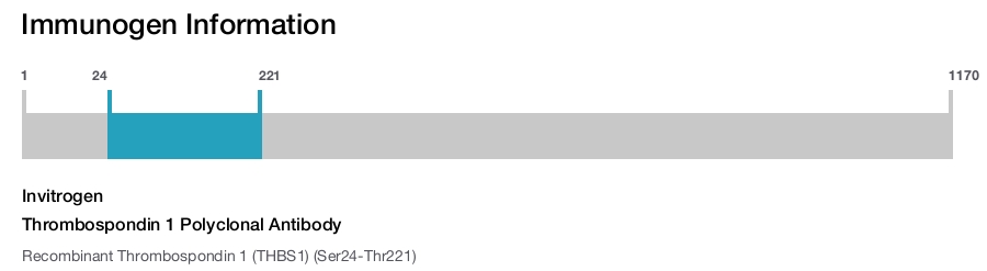 Thrombospondin 1 Polyclonal Antibody