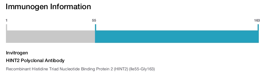 HINT2 Polyclonal Antibody