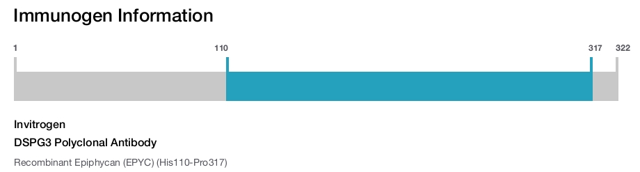 DSPG3 Polyclonal Antibody