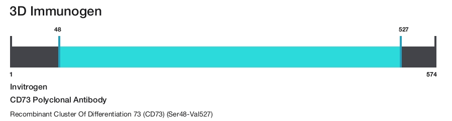 CD73 Polyclonal Antibody