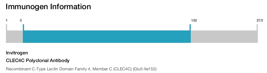 CLEC4C Polyclonal Antibody
