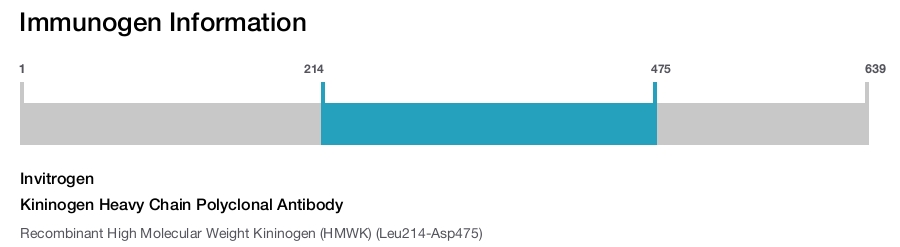 Kininogen Heavy Chain Polyclonal Antibody