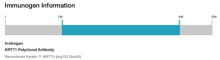KRT71 Polyclonal Antibody