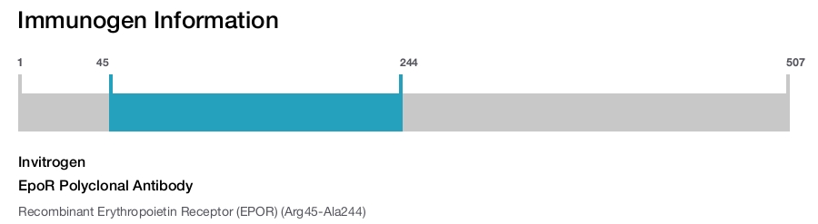 EpoR Polyclonal Antibody