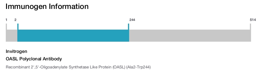 OASL Polyclonal Antibody