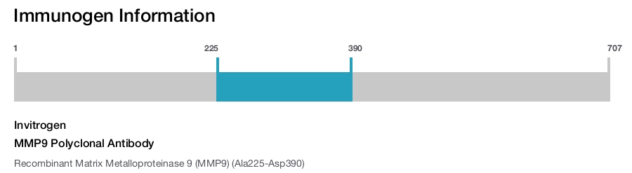 MMP9 Polyclonal Antibody