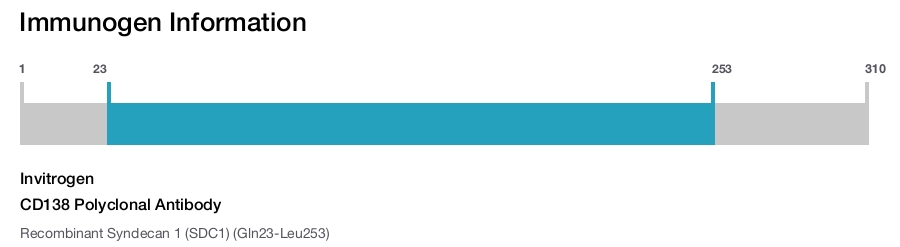 CD138 Polyclonal Antibody