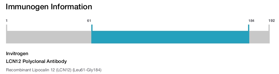 LCN12 Polyclonal Antibody