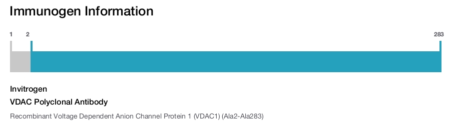 VDAC Polyclonal Antibody