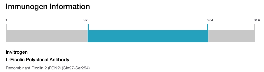 L-Ficolin Polyclonal Antibody