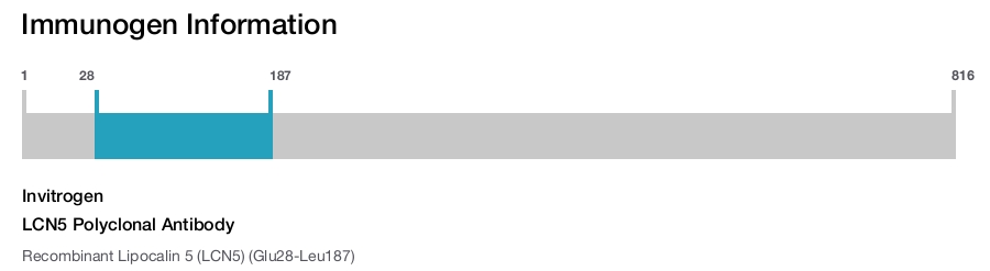 LCN5 Polyclonal Antibody