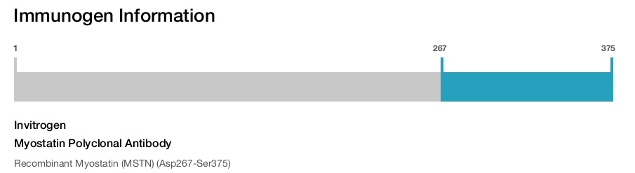 Myostatin Polyclonal Antibody