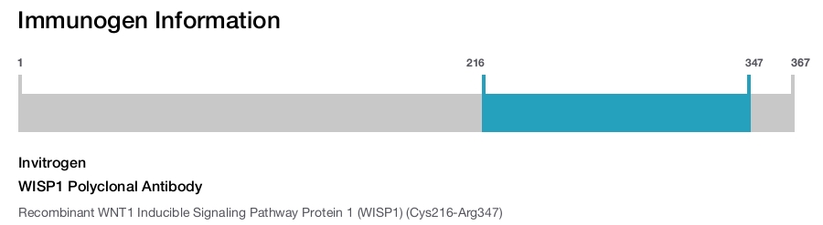 WISP1 Polyclonal Antibody