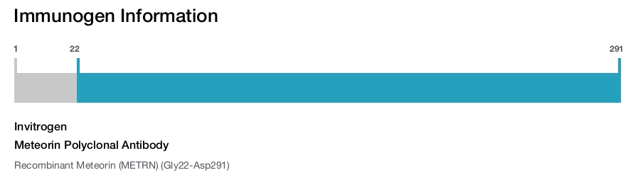 Meteorin Polyclonal Antibody