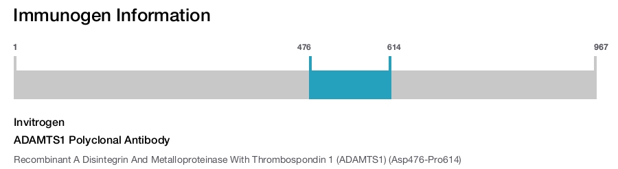 ADAMTS1 Polyclonal Antibody