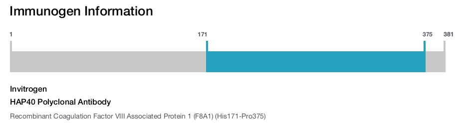HAP40 Polyclonal Antibody