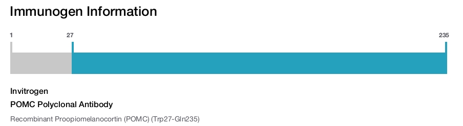 POMC Polyclonal Antibody
