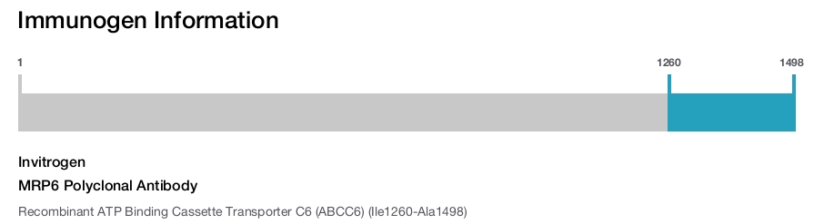 MRP6 Polyclonal Antibody
