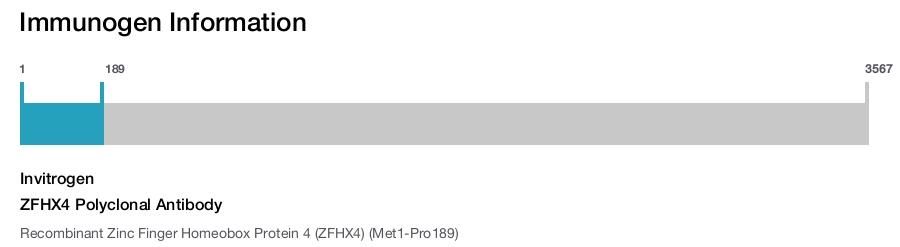 ZFHX4 Polyclonal Antibody