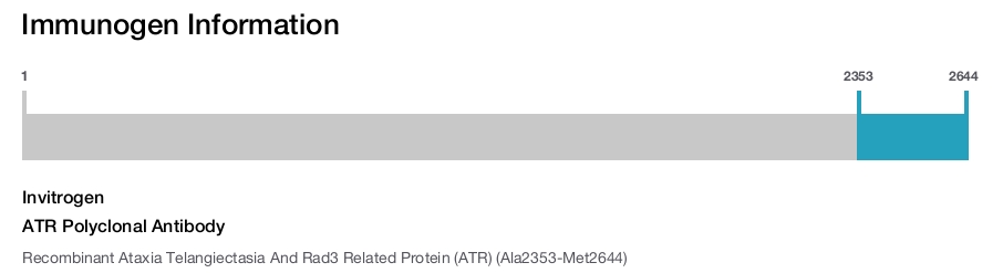 ATR Polyclonal Antibody