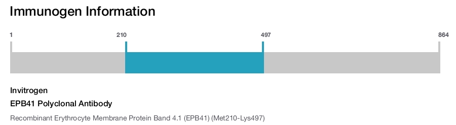 EPB41 Polyclonal Antibody