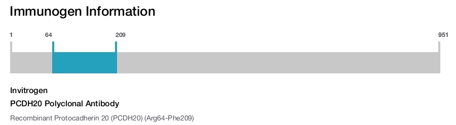 PCDH20 Polyclonal Antibody