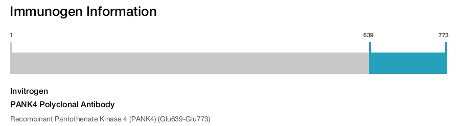 PANK4 Polyclonal Antibody