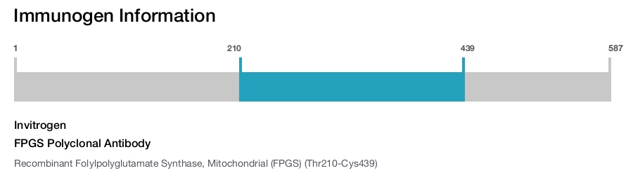 FPGS Polyclonal Antibody
