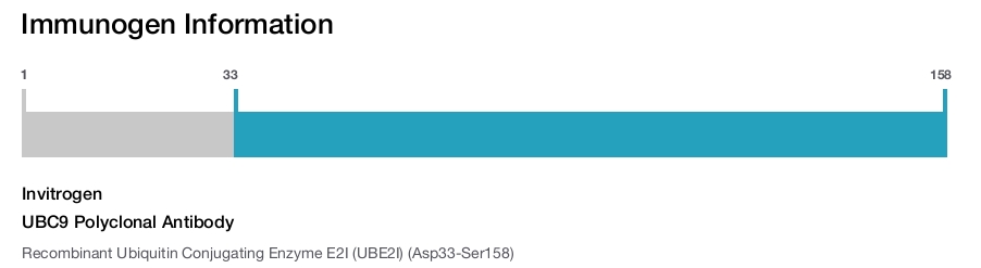 UBC9 Polyclonal Antibody