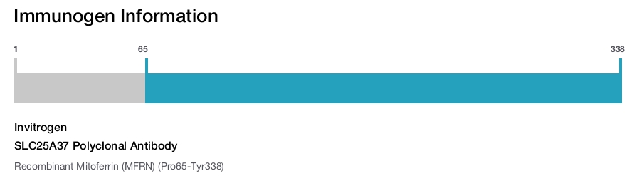SLC25A37 Polyclonal Antibody
