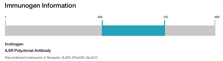 IL6R Polyclonal Antibody