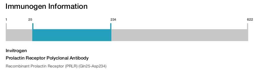 Prolactin Receptor Polyclonal Antibody