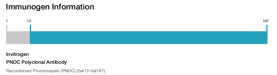PNOC Polyclonal Antibody