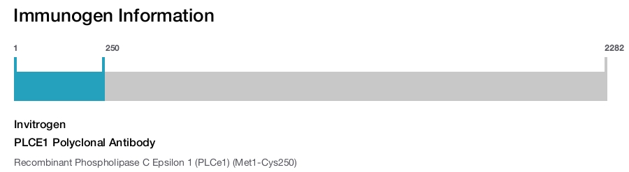 PLCE1 Polyclonal Antibody