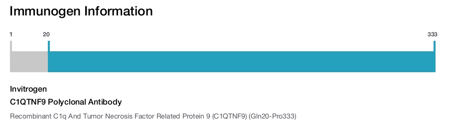 C1QTNF9 Polyclonal Antibody
