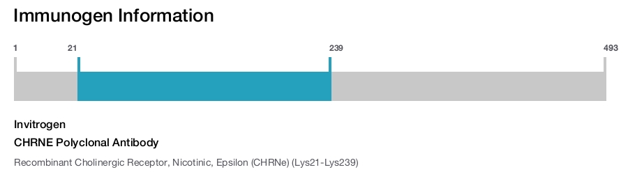 CHRNE Polyclonal Antibody