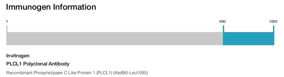 PLCL1 Polyclonal Antibody