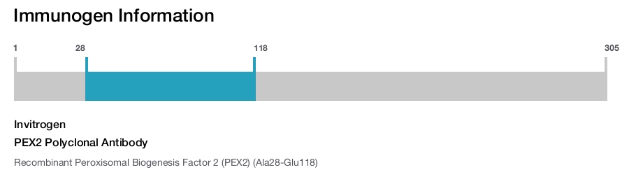 PEX2 Polyclonal Antibody