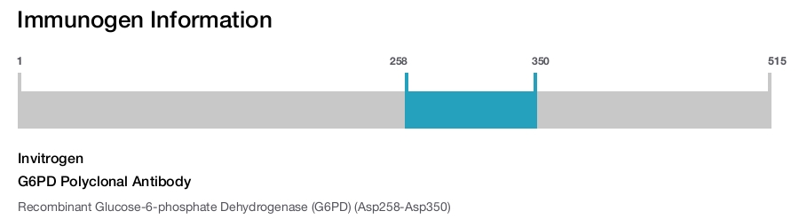 G6PD Polyclonal Antibody